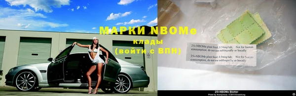 apvp Алзамай