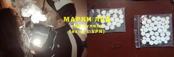 apvp Алзамай