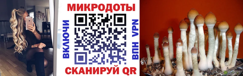 blacksprut ONION  как найти закладки  Юрьев-Польский  Псилоцибиновые грибы мухоморы 